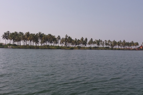 200 Hours Yoga Teacher Training Kerala