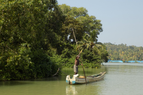 200 Hours Yoga Teacher Training Kerala