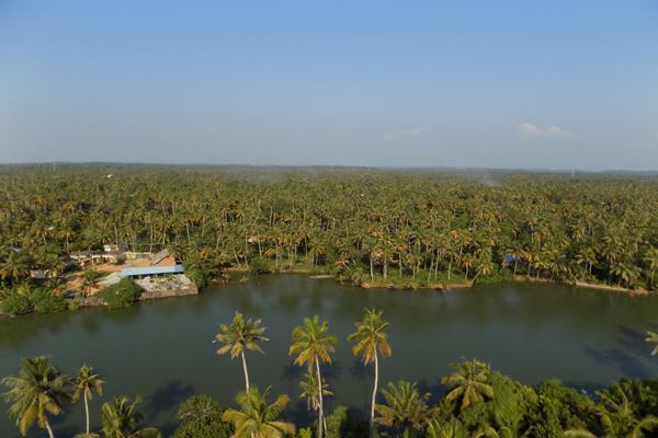 200 Hours Yoga Teacher Training Kerala