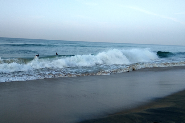 200 Hours Yoga Teacher Training Kerala