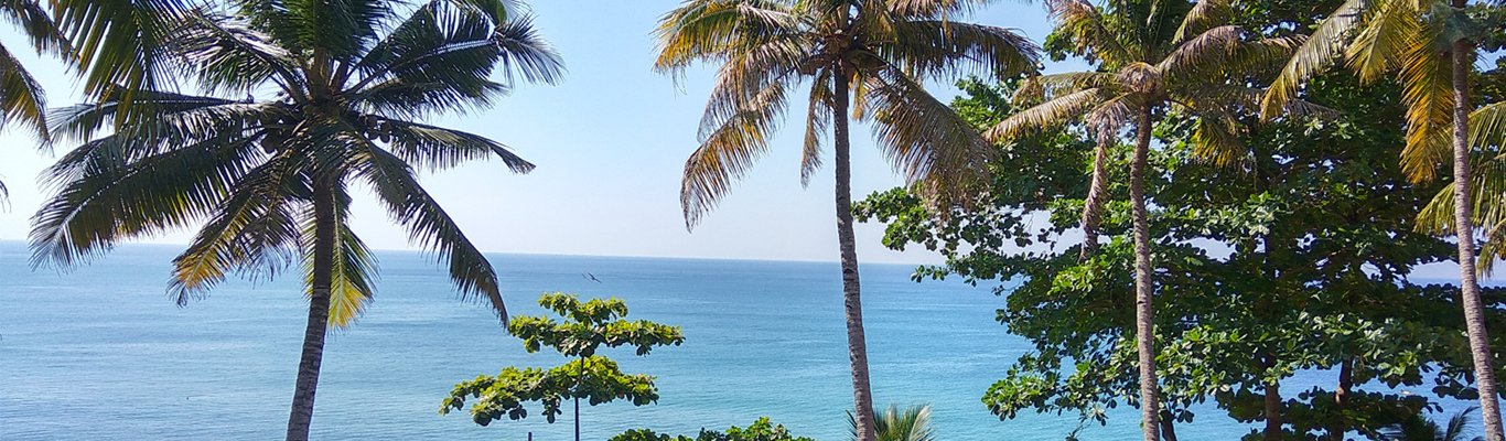 Yoga Teacher Training Training in Kerala, India